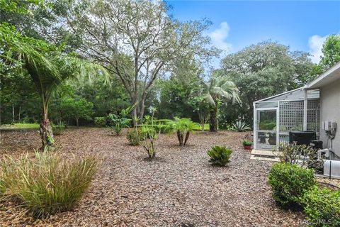 A home in Hernando