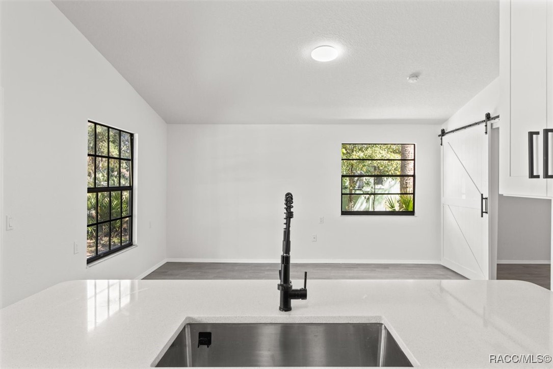 11140 W Thoreau Place, Crystal River, Florida image 21