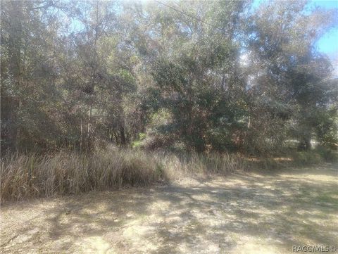 Vacant Land For Sale - 2498 W Aleuts Drive<br/> Beverly Hills, FL 34465