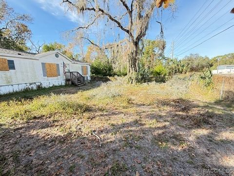 A home in Homosassa