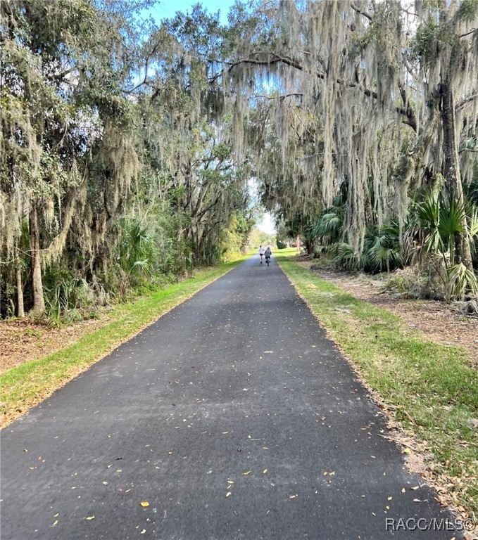 729 Wharton Terrace, Inverness, Florida image 47