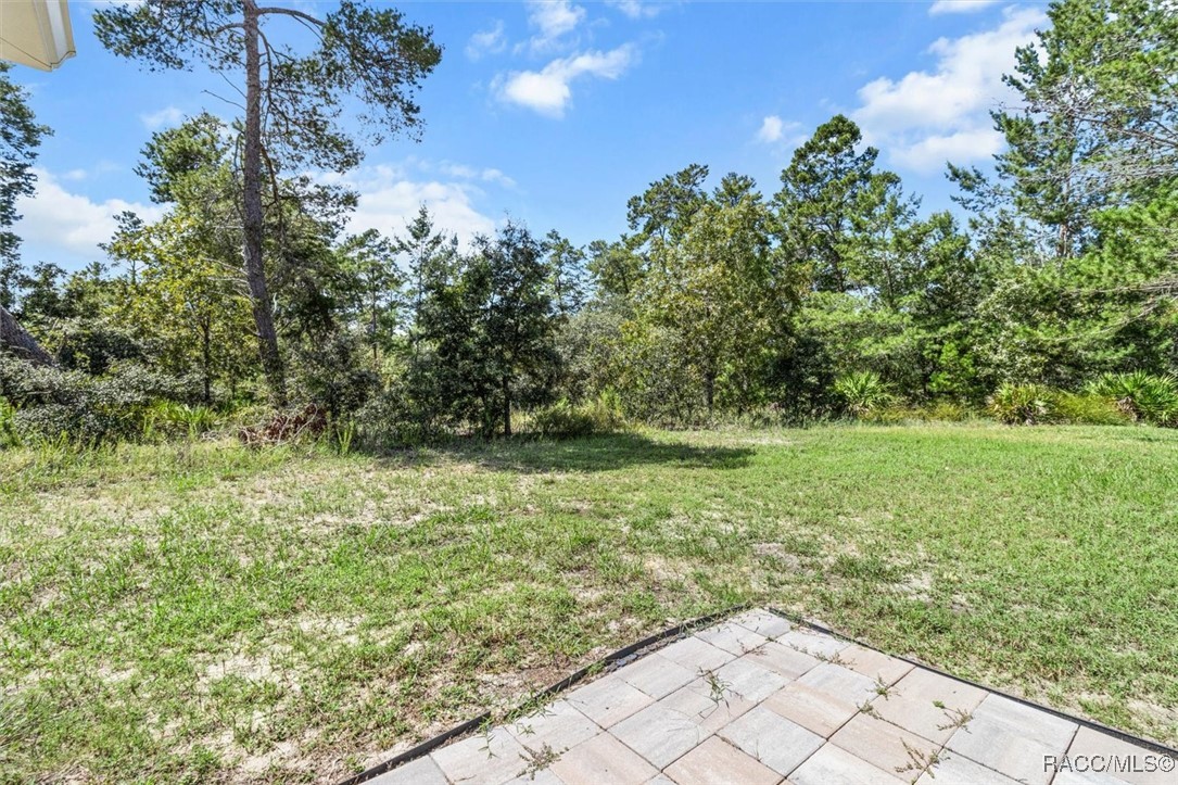 2 Palm Grass Court, Homosassa, New York image 37