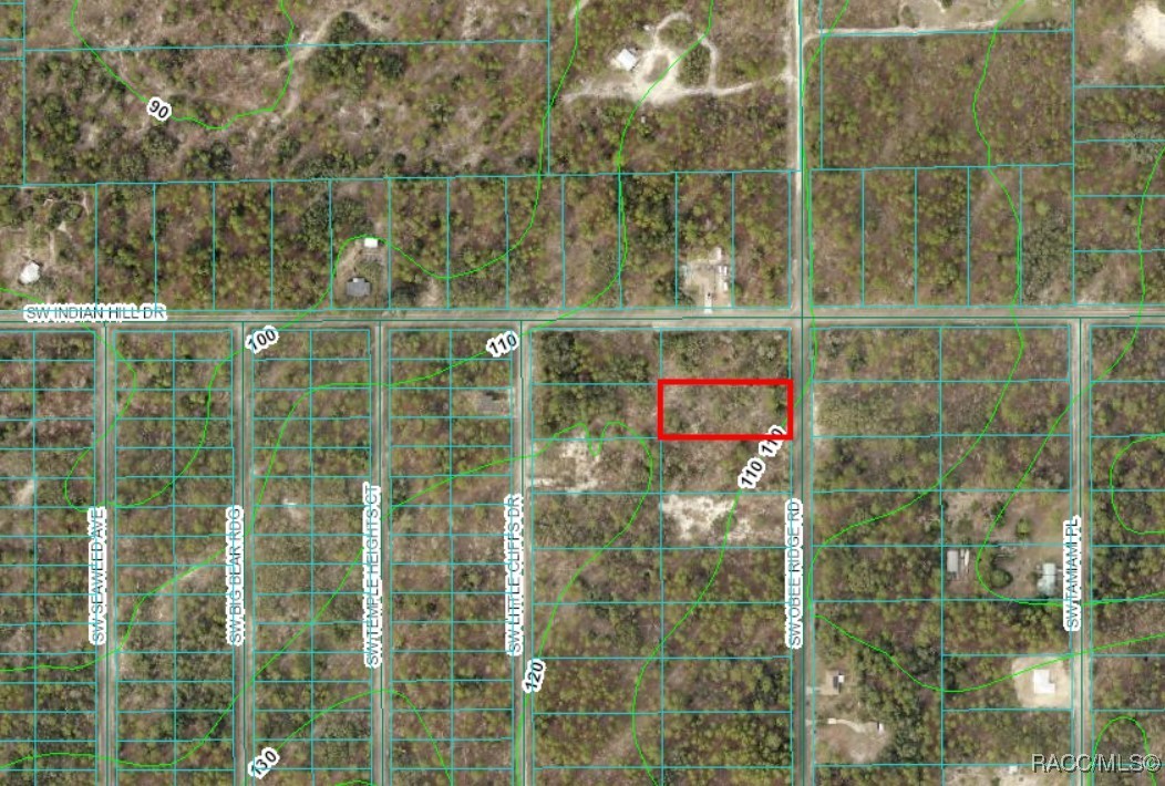 Sw Obee Ridge Road, Dunnellon, Florida image 1