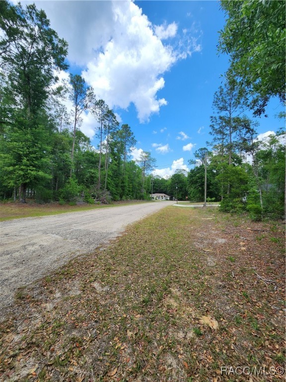 9017 N Ruby Way #320S, Dunnellon, New York image 3