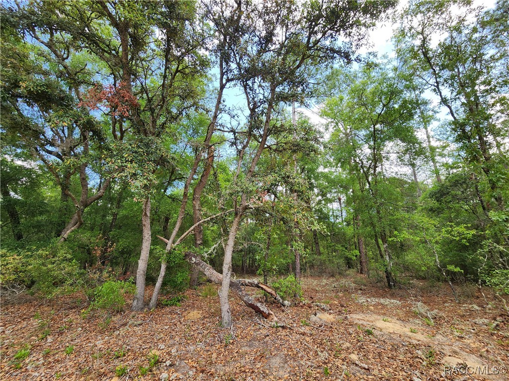 9017 N Ruby Way #320S, Dunnellon, New York image 1
