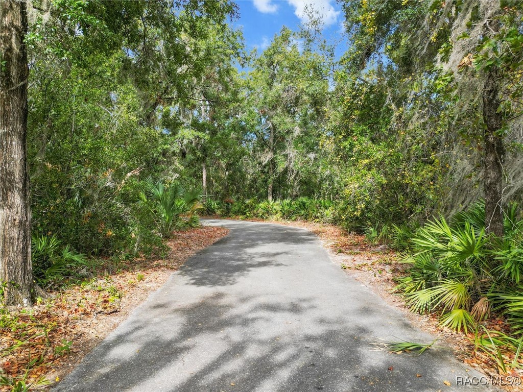 1096 N Pompeo Avenue, Crystal River, Florida image 47