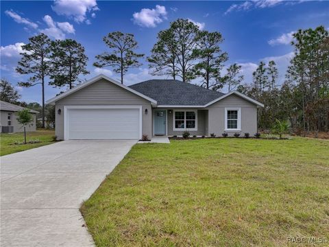 A home in Citrus Springs