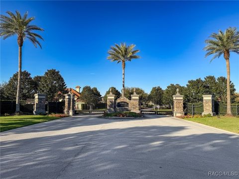 A home in Hernando