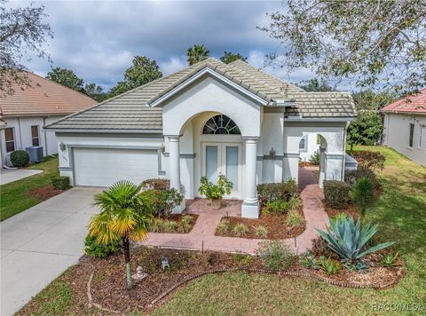 1095 W Skyview Landings Drive Hernando FL 34442
