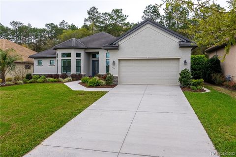 A home in Hernando