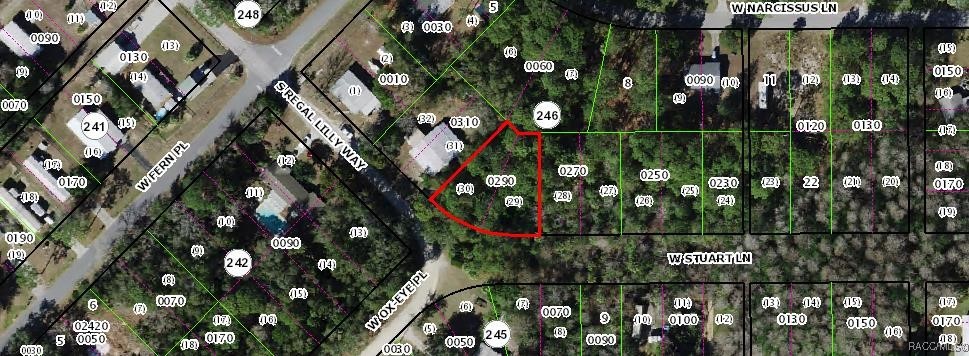 7897 W Stuart Lane, Homosassa, Florida image 4