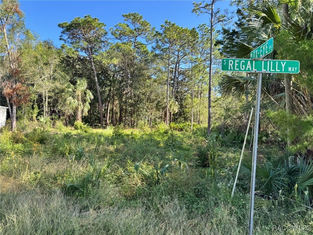 7897 W Stuart Lane, Homosassa, Florida image 2