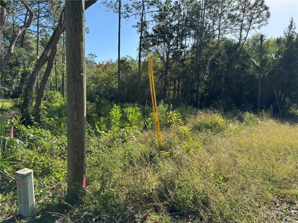 7897 W Stuart Lane, Homosassa, Florida image 3