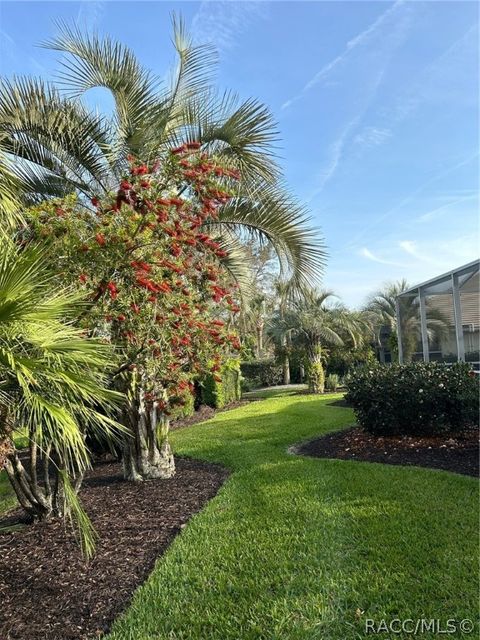 A home in Hernando