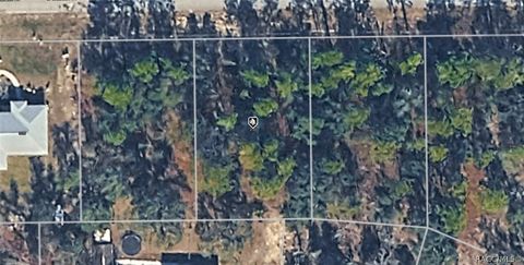 Vacant Land For Sale - 3192 W Wilhelm Street<br/> Citrus Springs, FL 34433