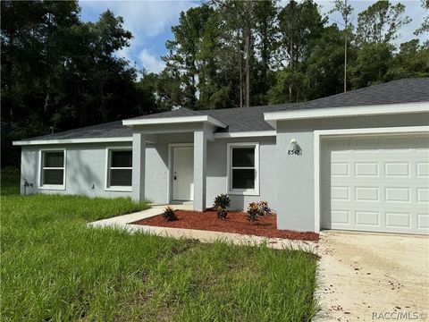 A home in Citrus Springs