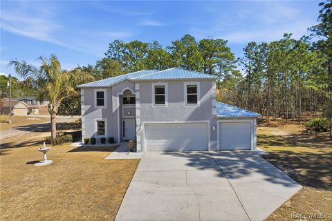 7199 N Gretchen Way Citrus Springs FL 34434