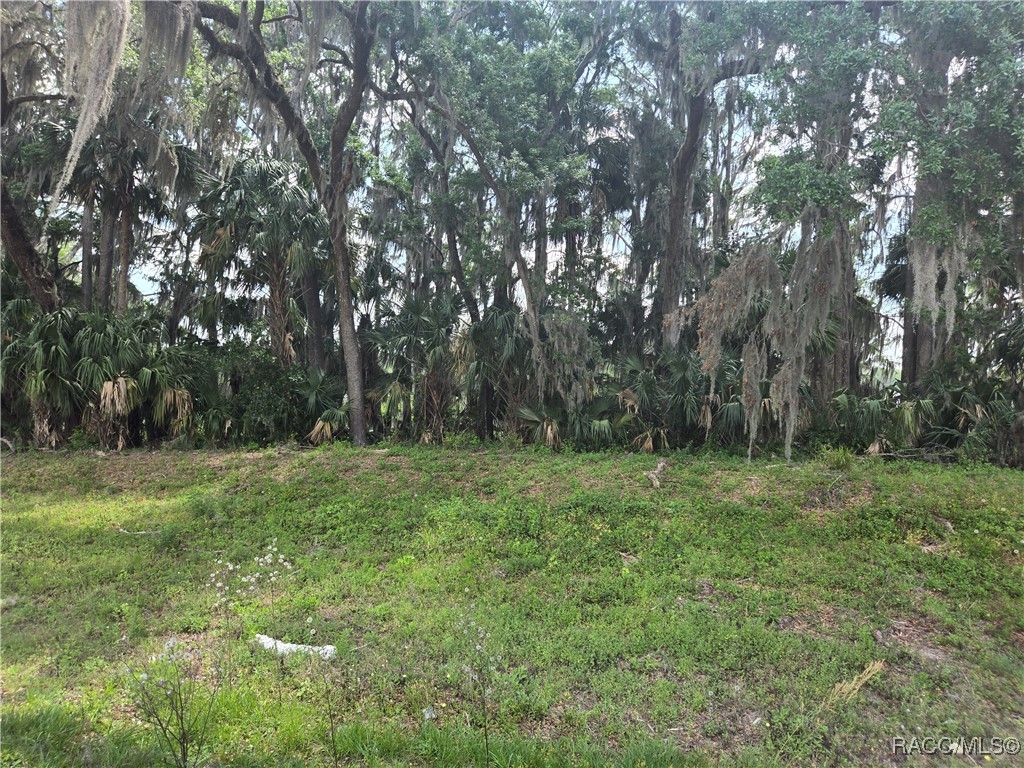 956 Ibis Circle