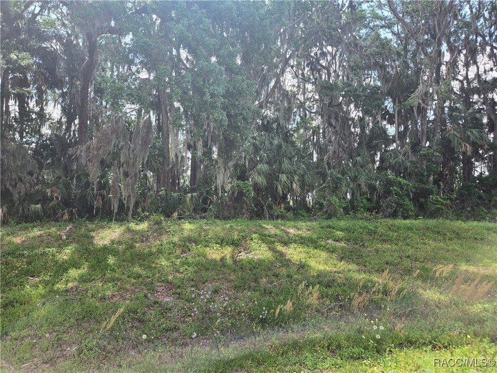 956 Ibis Circle