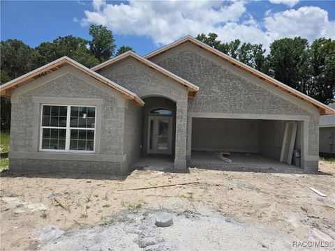 956 Ibis Circle Inverness FL 34453