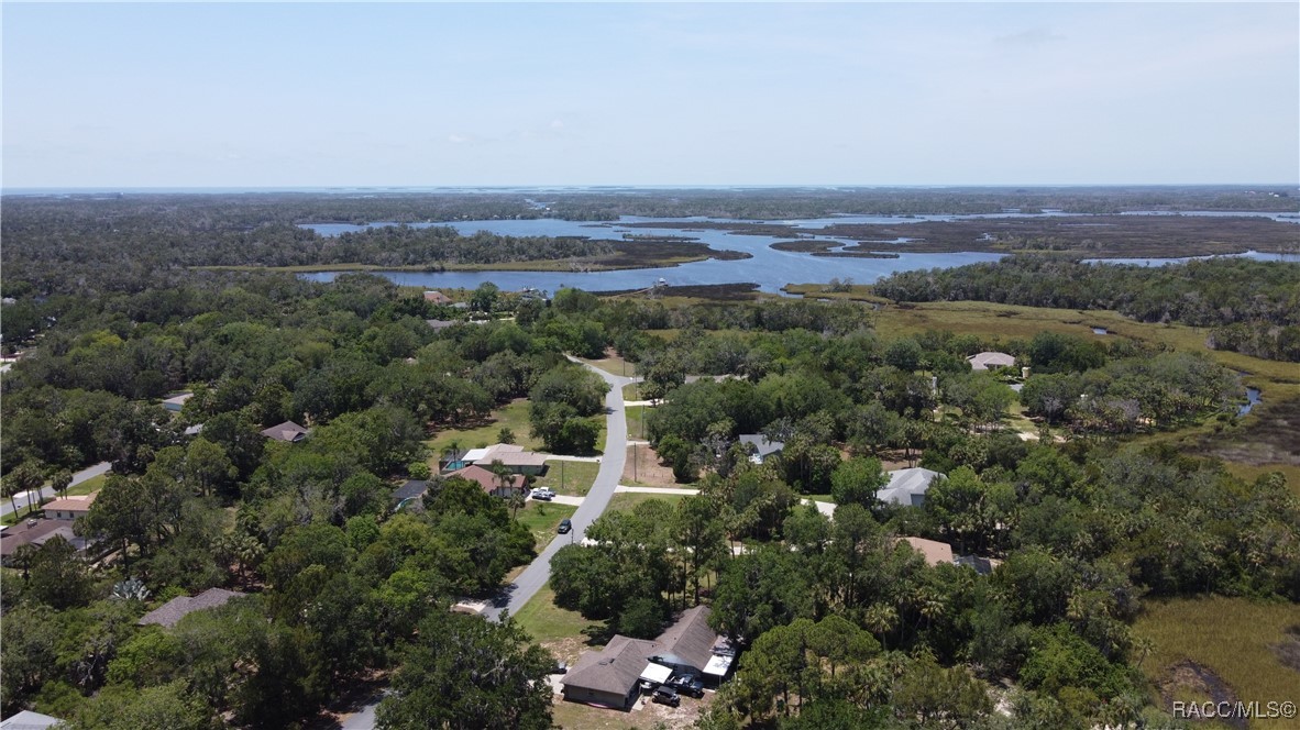 4540 S Sawgrass Circle #2-D, Homosassa, New York image 13