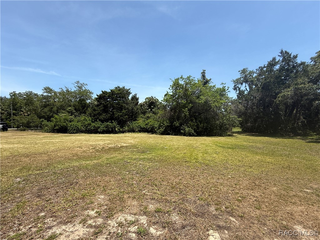 4540 S Sawgrass Circle #2-D, Homosassa, New York image 30