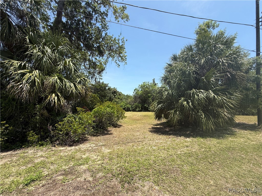 4540 S Sawgrass Circle #2-D, Homosassa, New York image 26