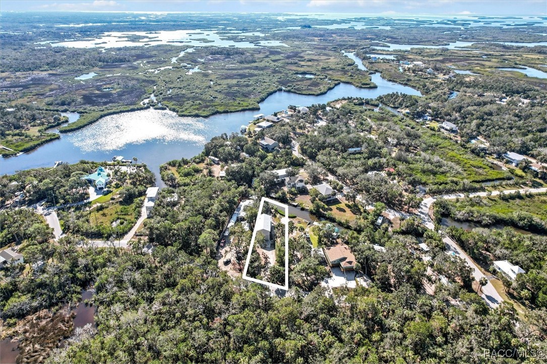 1446 S Estuary Drive, Crystal River, Florida image 1