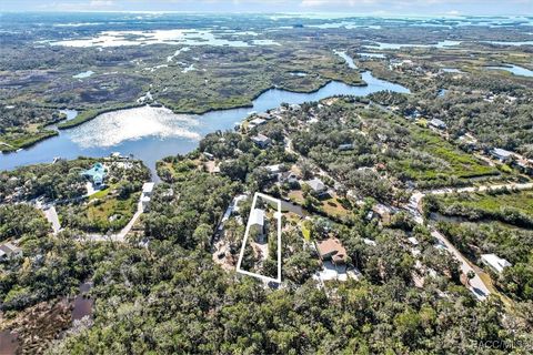 A home in Crystal River