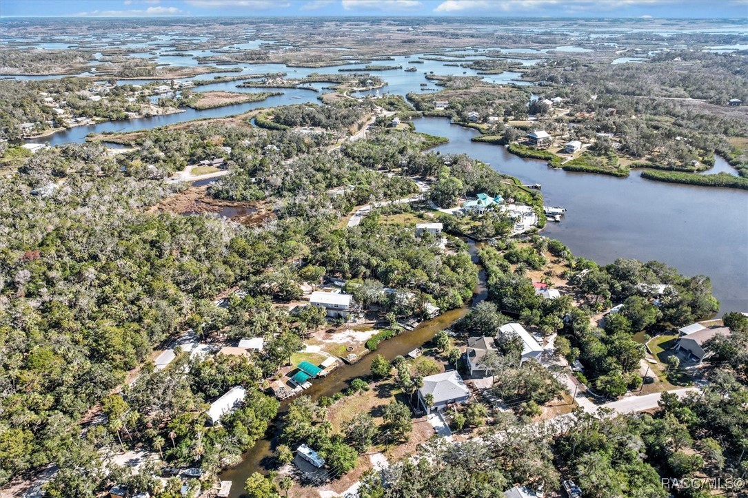 1446 S Estuary Drive, Crystal River, Florida image 38