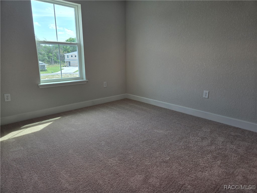 275 Bittern Loop, Inverness, Florida image 16