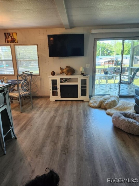 10330 E Pike Drive, Inverness, Florida image 10