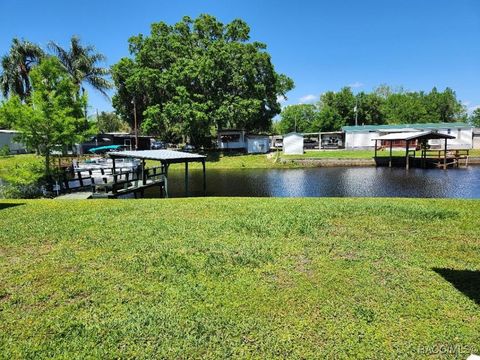 Homes For Sale - 10330 E Pike Drive<br/> Inverness, FL 34450