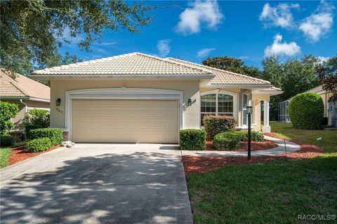Homes For Sale - 963 W Skyview Crossing Drive<br/> Hernando, FL 34442