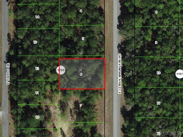 1471 E Citrus Springs Boulevard, Citrus Springs, Florida image 2