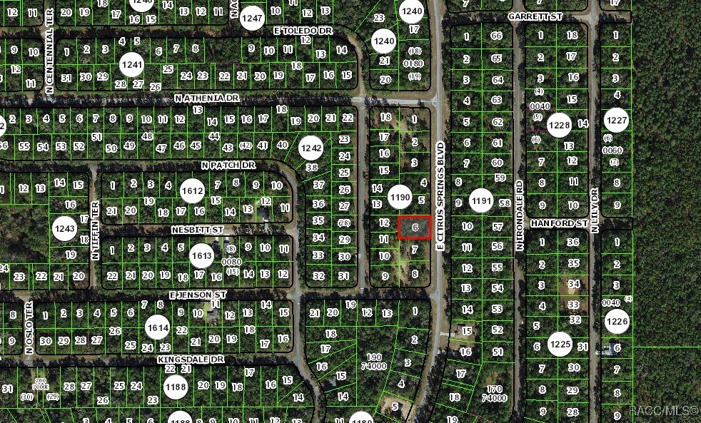 1471 E Citrus Springs Boulevard, Citrus Springs, Florida image 3