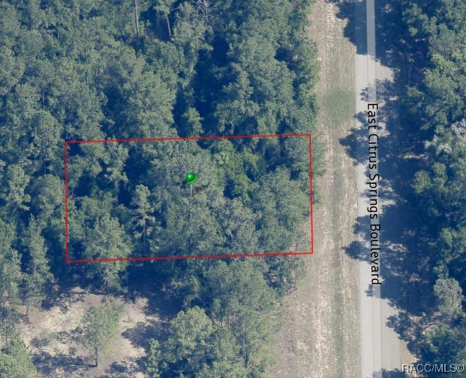 1471 E Citrus Springs Boulevard, Citrus Springs, Florida image 4