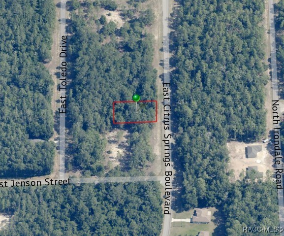 1471 E Citrus Springs Boulevard, Citrus Springs, Florida image 5