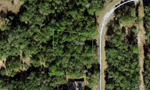 Vacant Land For Sale - 11308 N Fuego Drive<br/> Citrus Springs, FL 34434