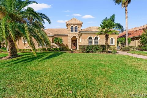 A home in Hernando