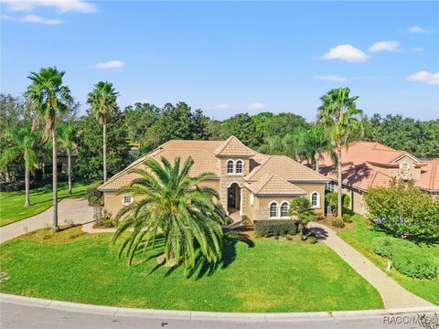 A home in Hernando