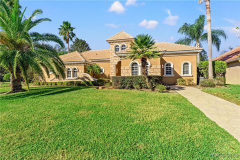 A home in Hernando