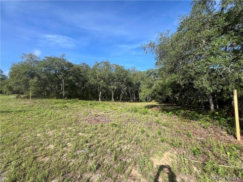 Vacant Land For Sale - 6990 N Lime Drive<br/> Citrus County, Citrus Springs, FL 34433