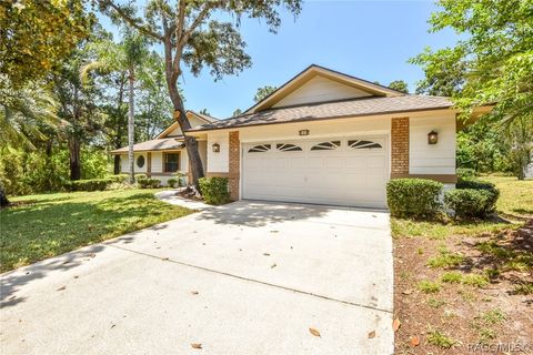 A home in Homosassa