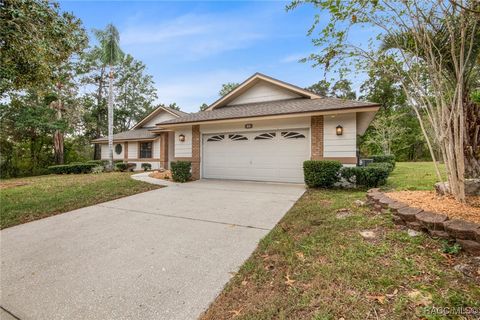 A home in Homosassa