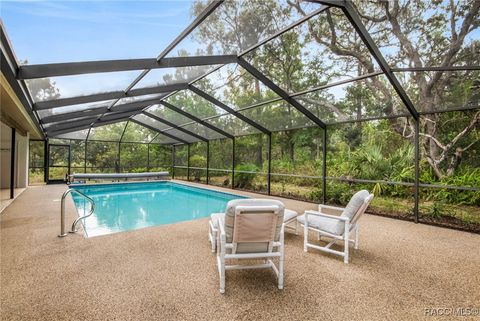 A home in Homosassa