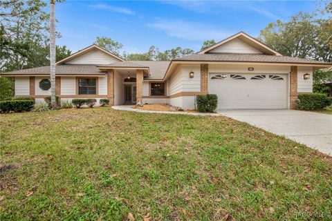 A home in Homosassa