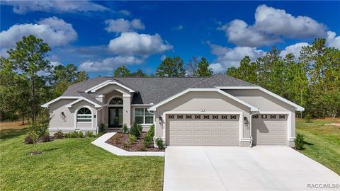 15 Dahlia Court N Homosassa FL 34446