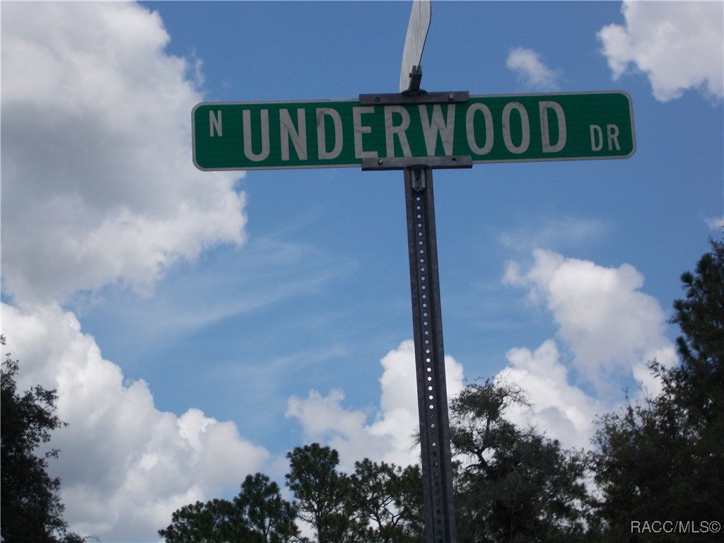 Citrus Springs, Florida 34434, United States, ,Land,Active,196061