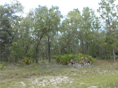 Vacant Land For Sale - 6667 N Underwood Drive<br/> Citrus Springs, FL 34434